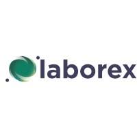 Laborex